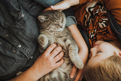 Family with cat - Zoetis