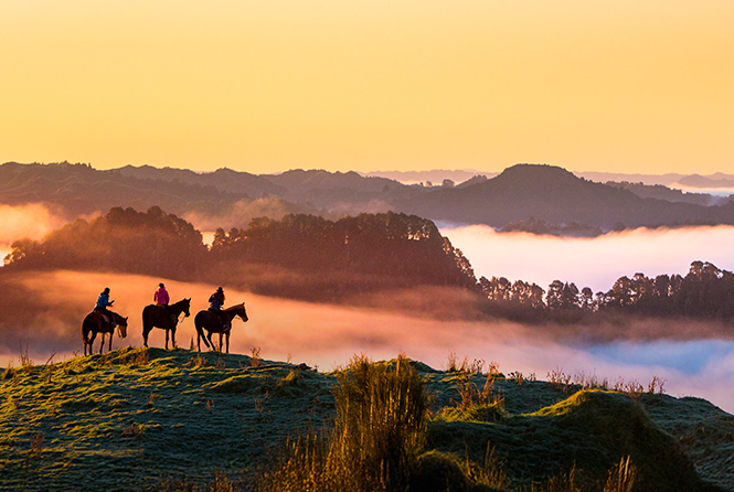 Horse riding on mountain at sunset- Zoetis