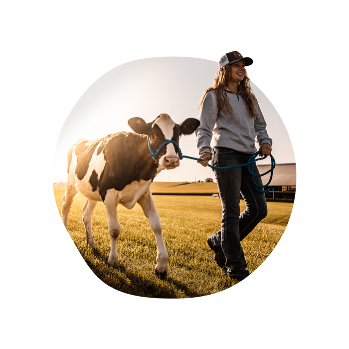 Young woman leading dairy calf - Zoetis